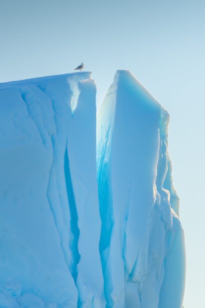 Greenland tour photo